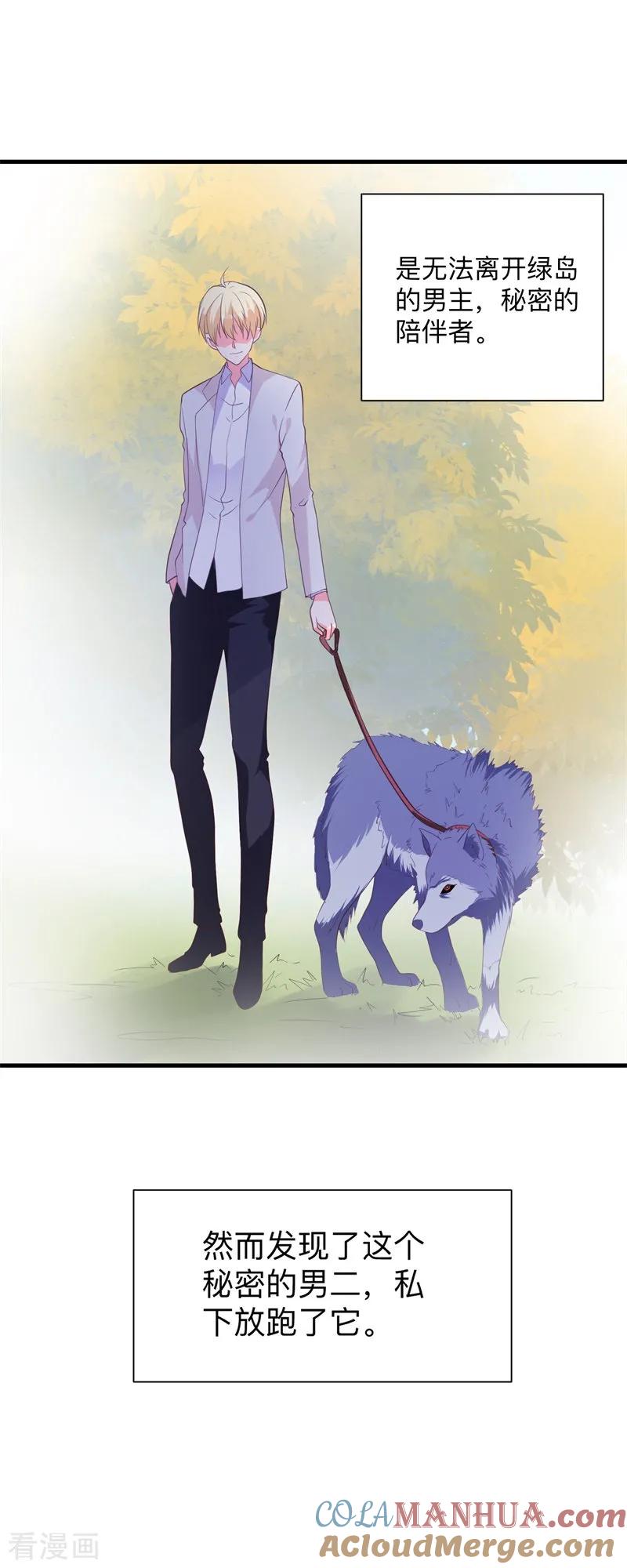 《贵少的绯闻女友》第37话 危险！ 第3页