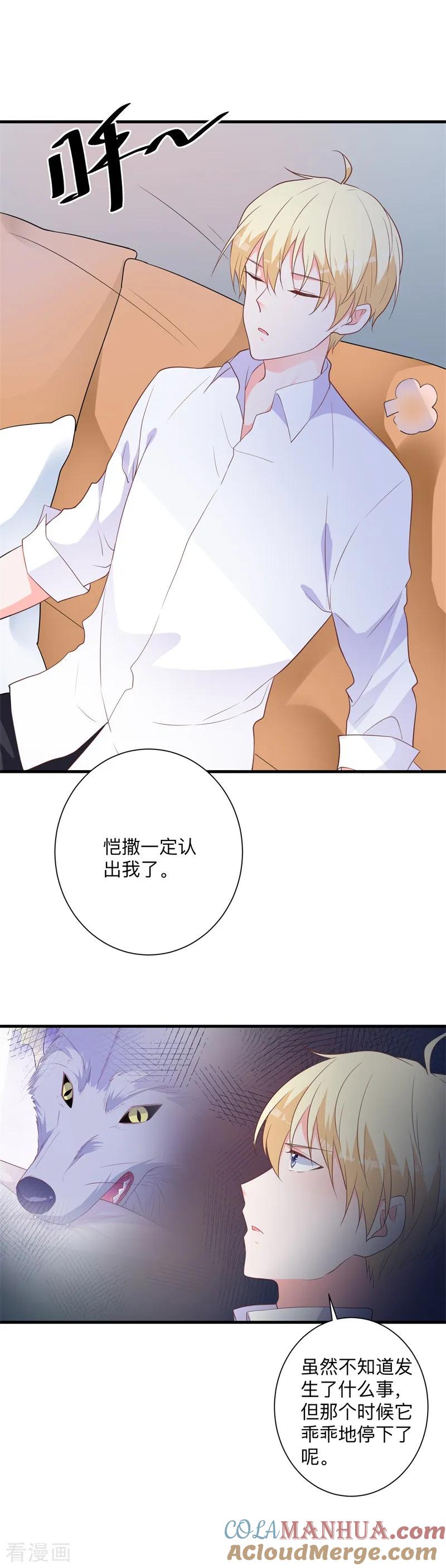 《贵少的绯闻女友》第42话 我不会让你出事的 第5页