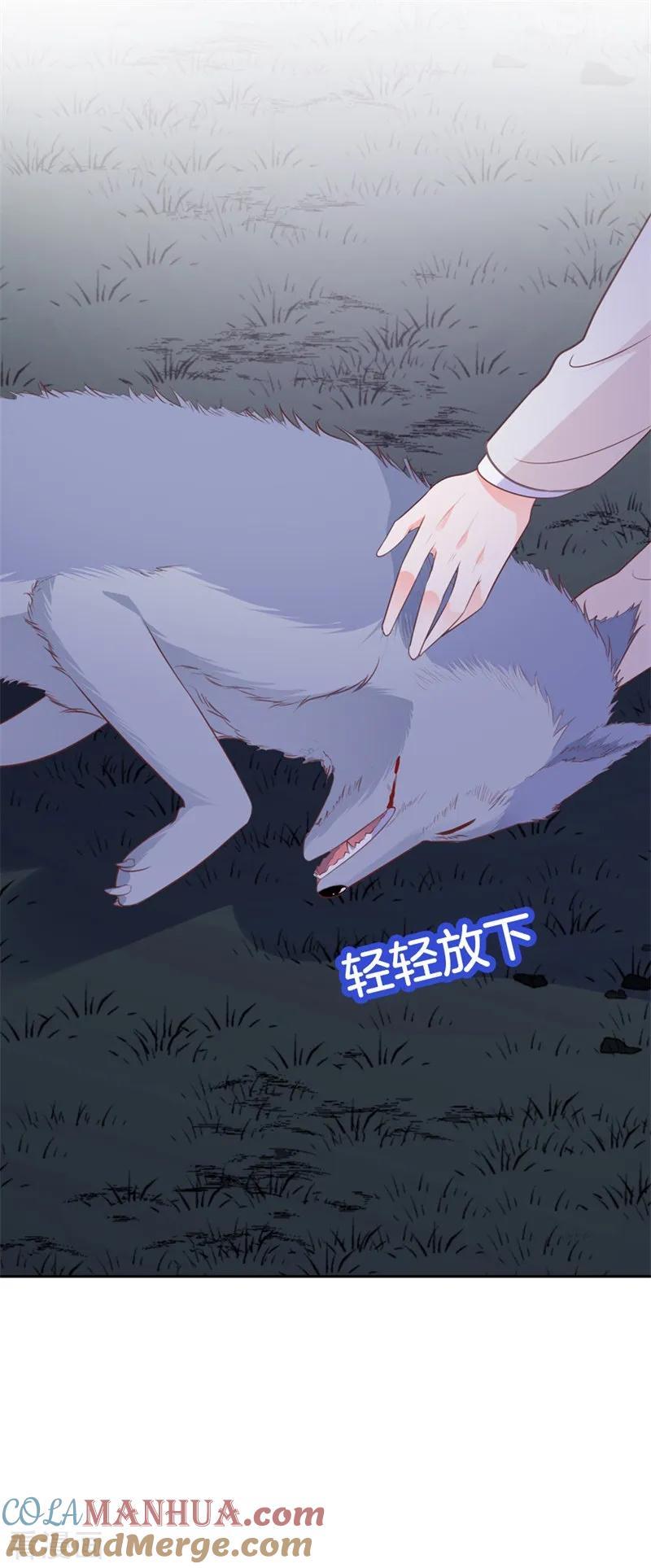 《贵少的绯闻女友》第45话 视而不见 第11页
