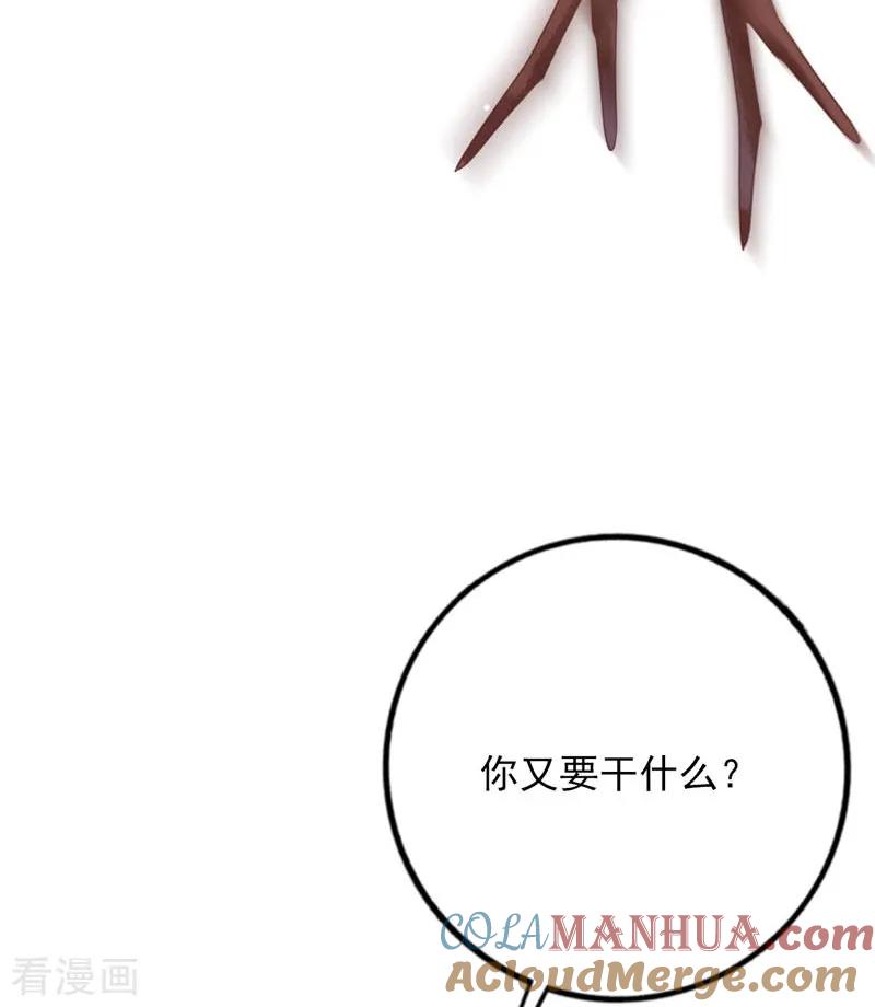 《贵少的绯闻女友》第66话 喜欢的人 第13页
