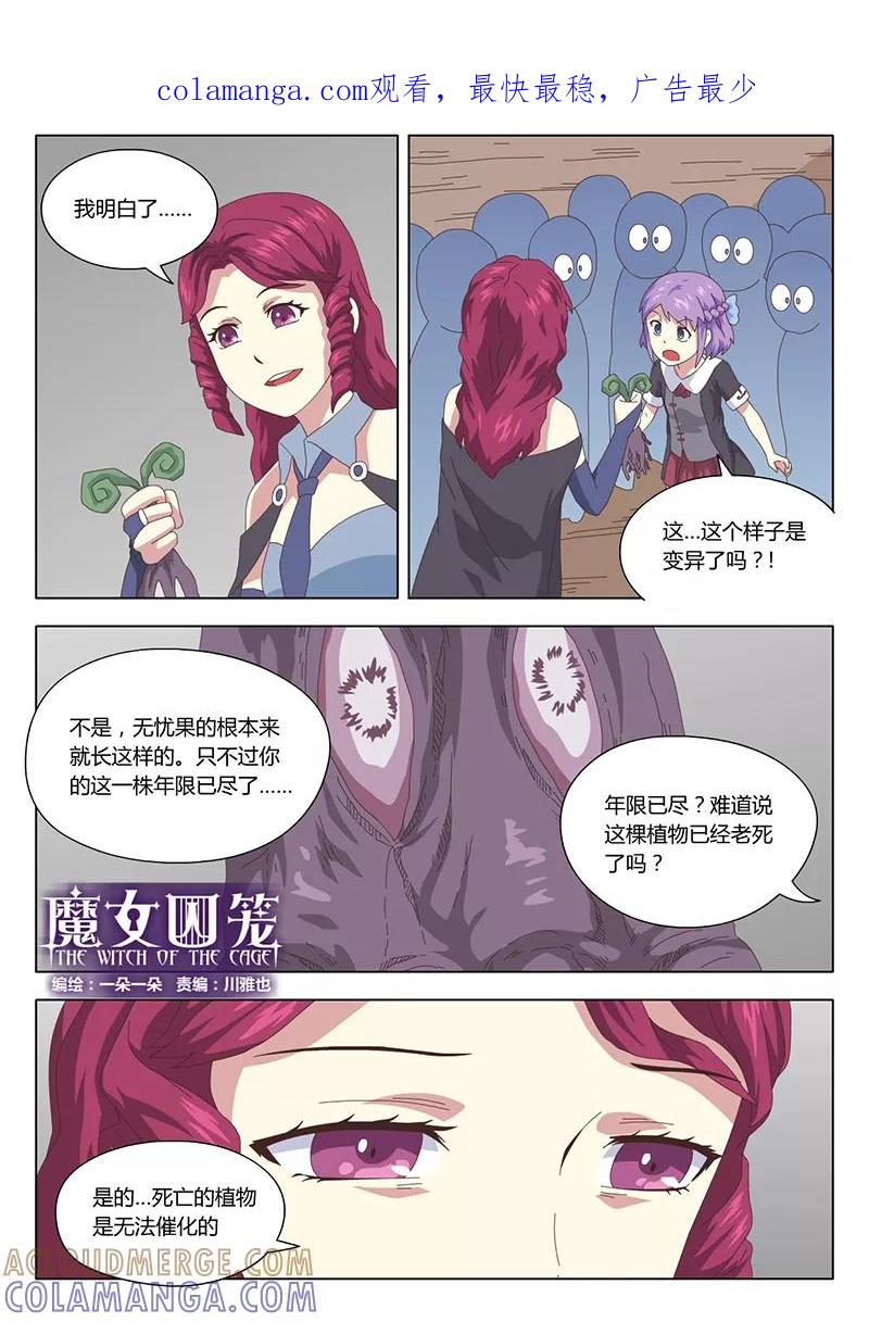 《魔女囚笼》第13话 巫女3 第1页