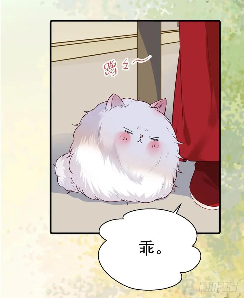 鬼医凤九 第122话 球球好萌！！！ 第28页
