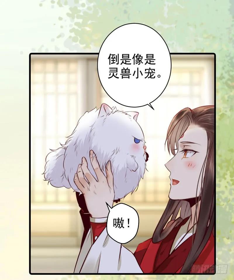 鬼医凤九 第122话 球球好萌！！！ 第30页