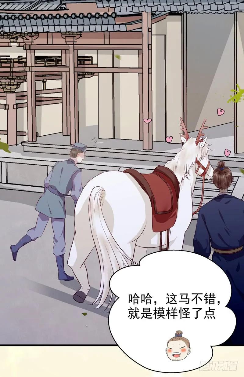 鬼医凤九 第130话 归云月城 第36页