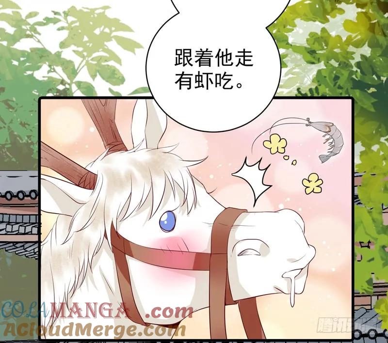 鬼医凤九 第130话 归云月城 第35页
