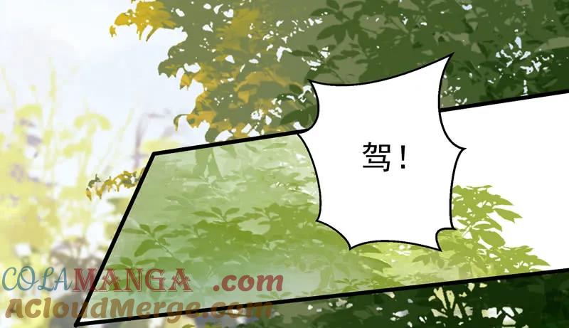 鬼医凤九 第147话 不请自来 第37页