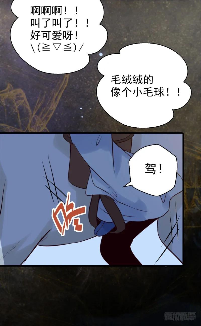 鬼医凤九 第157话 引蛇出洞 第24页