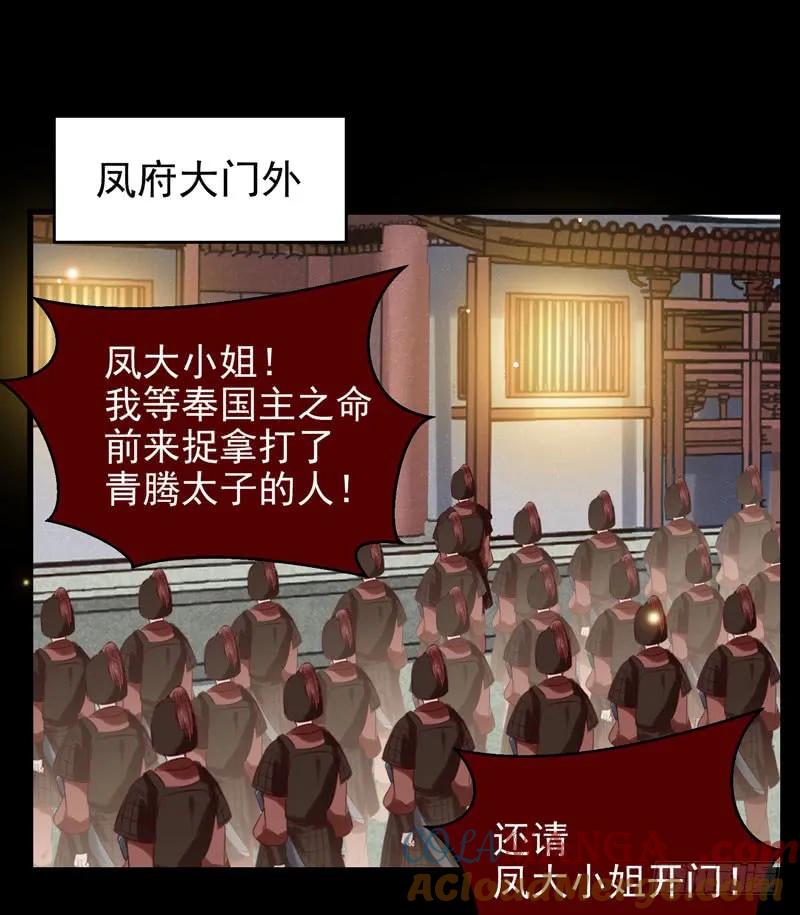 鬼医凤九 第161话 包围凤府 第46页