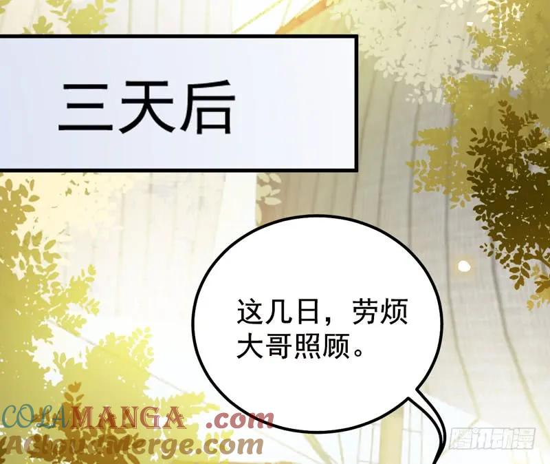 鬼医凤九 第199话 归凤凰王朝 第43页