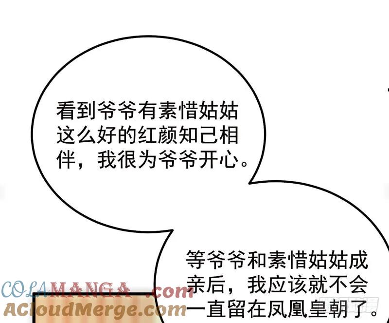 鬼医凤九 第199话 归凤凰王朝 第34页