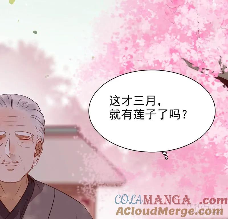 鬼医凤九 第213话 寿元丹成 第46页