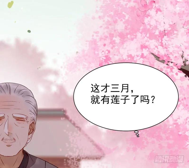 鬼医凤九 第214话 星云城 第3页