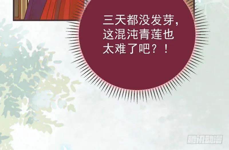 鬼医凤九 第216话 混沌青莲 第36页