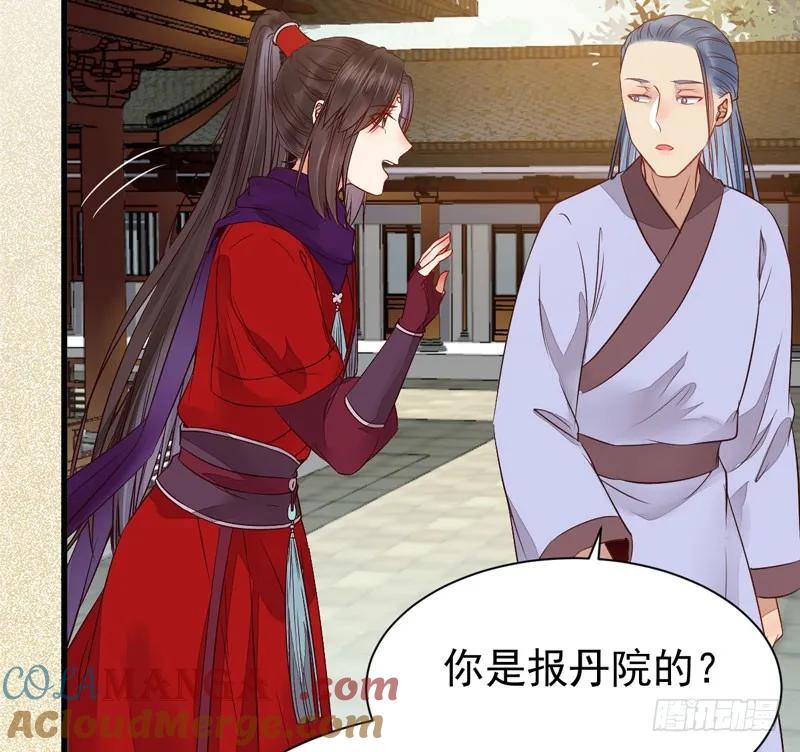 鬼医凤九 第219话 陌尘公子 第40页
