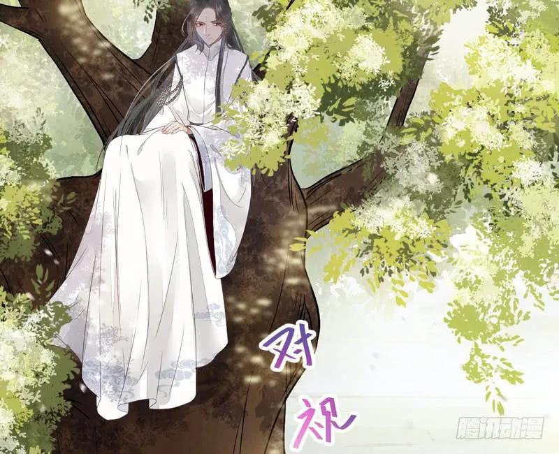 鬼医凤九 第219话 陌尘公子 第29页