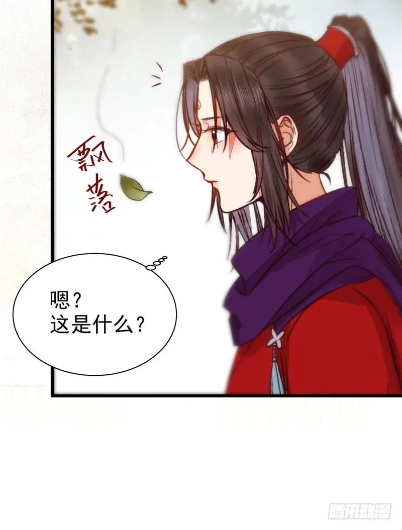 鬼医凤九 第219话 陌尘公子 第23页