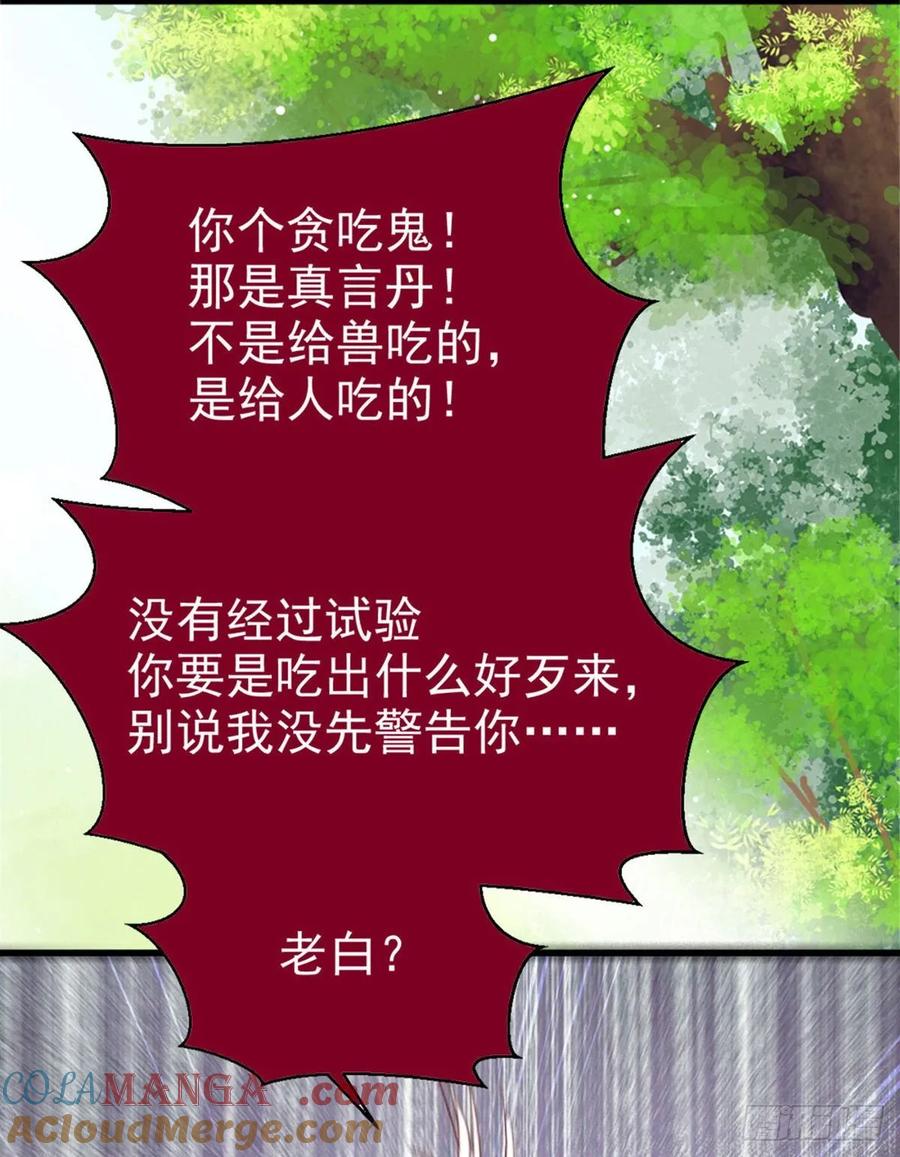 鬼医凤九 第247话 真言丹 第40页