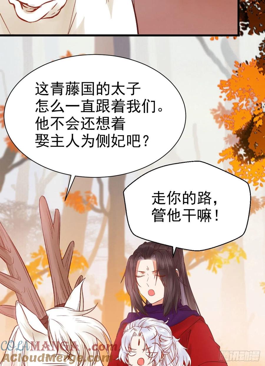 鬼医凤九 第294话 带着崽子上路了 第31页