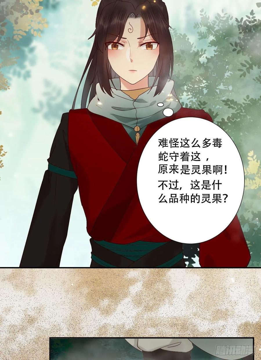 鬼医凤九 第405话 入蛇窝 第4页