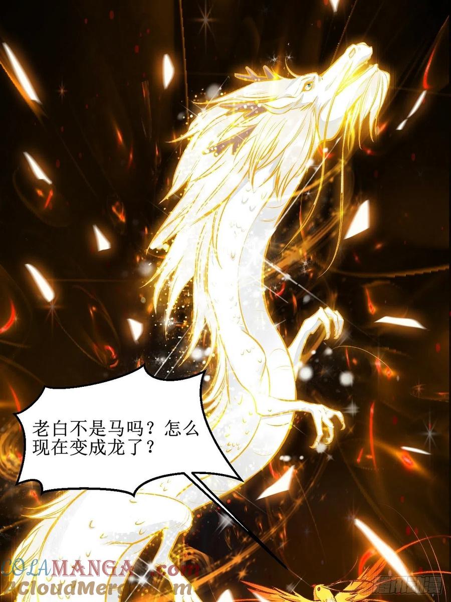 鬼医凤九 第499话 老白进阶！ 第27页
