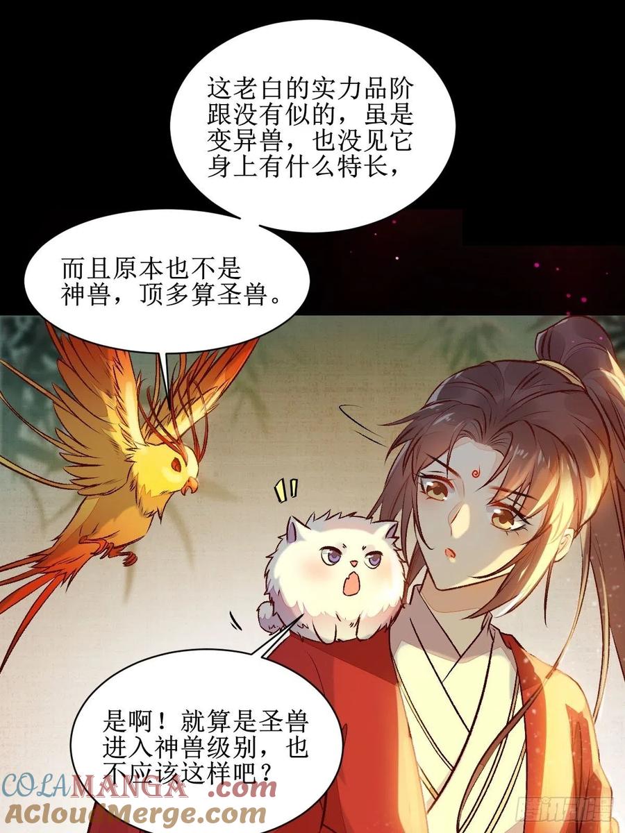 鬼医凤九 第499话 老白进阶！ 第11页