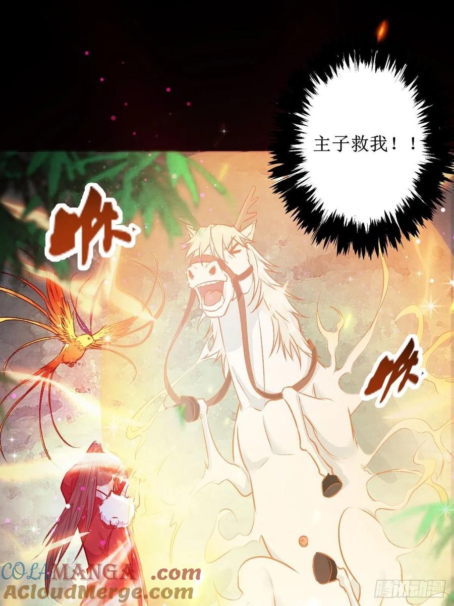 鬼医凤九 第499话 老白进阶！ 第9页