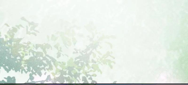 鬼医凤九 第624话 629 反转 第24页