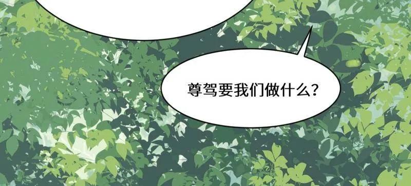 鬼医凤九 第654话 656 隐世家族 第46页