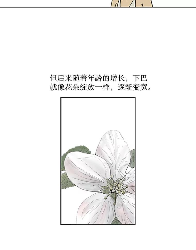 《孤军寻宝》1.关于“我” 第26页
