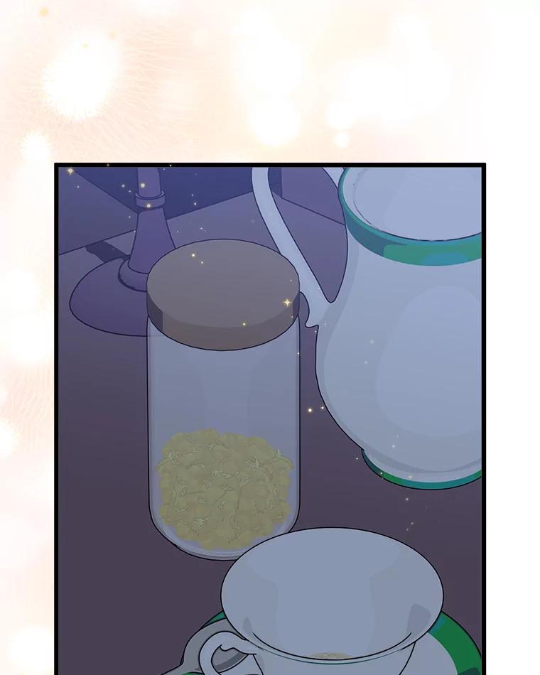 《女仆是悲惨结局收藏家》22.无法触碰 第86页