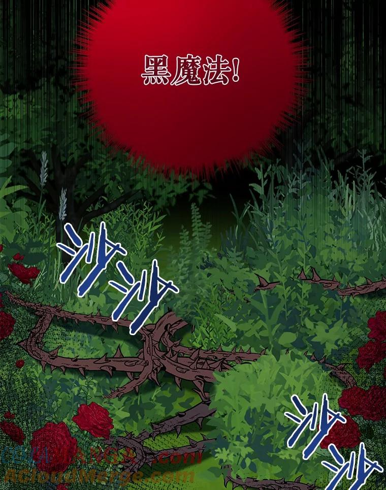 《吞噬太阳的花》23.告白 第25页