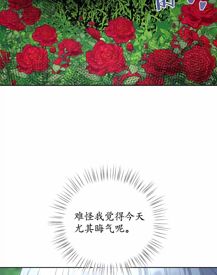 《吞噬太阳的花》23.告白 第23页