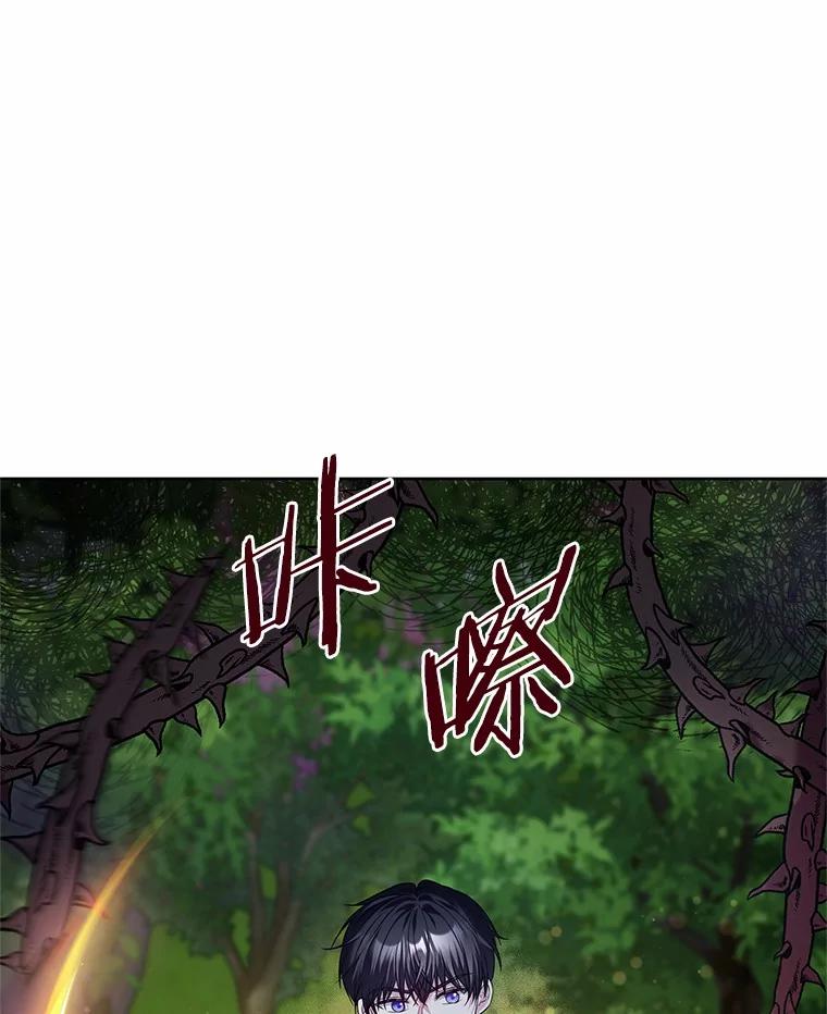 《吞噬太阳的花》23.告白 第48页