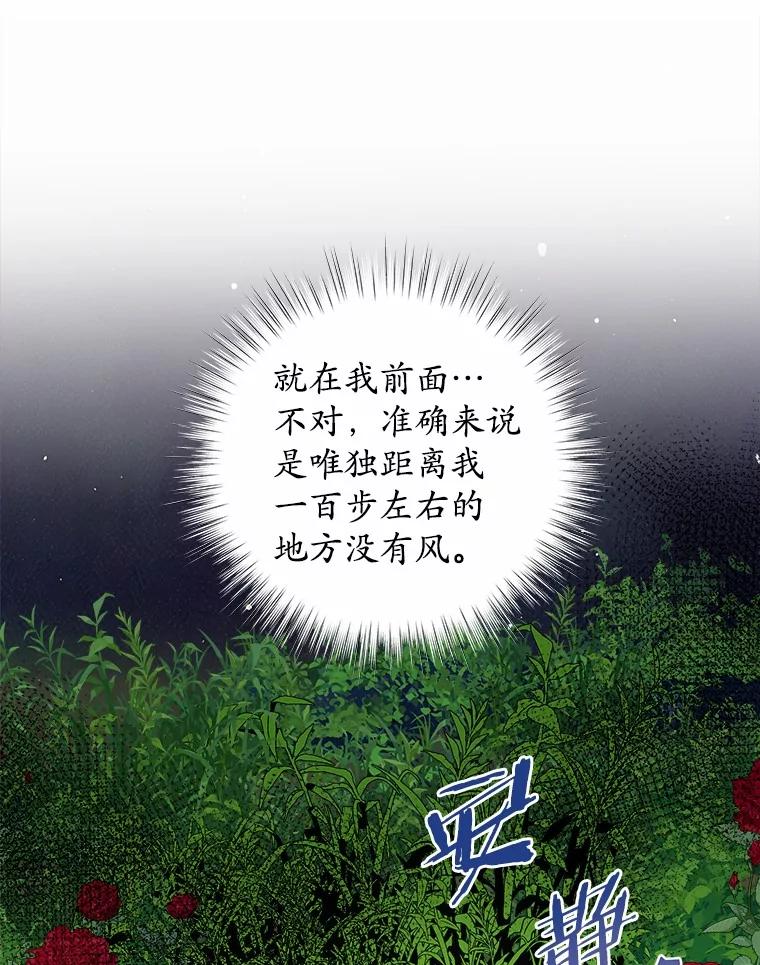 《吞噬太阳的花》23.告白 第22页