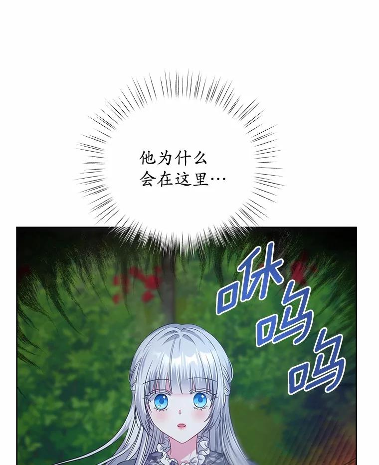 《吞噬太阳的花》23.告白 第46页