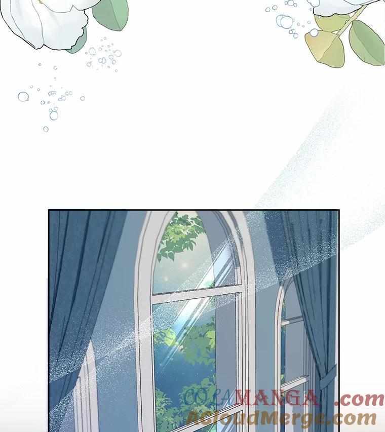 《吞噬太阳的花》25.分别 第45页