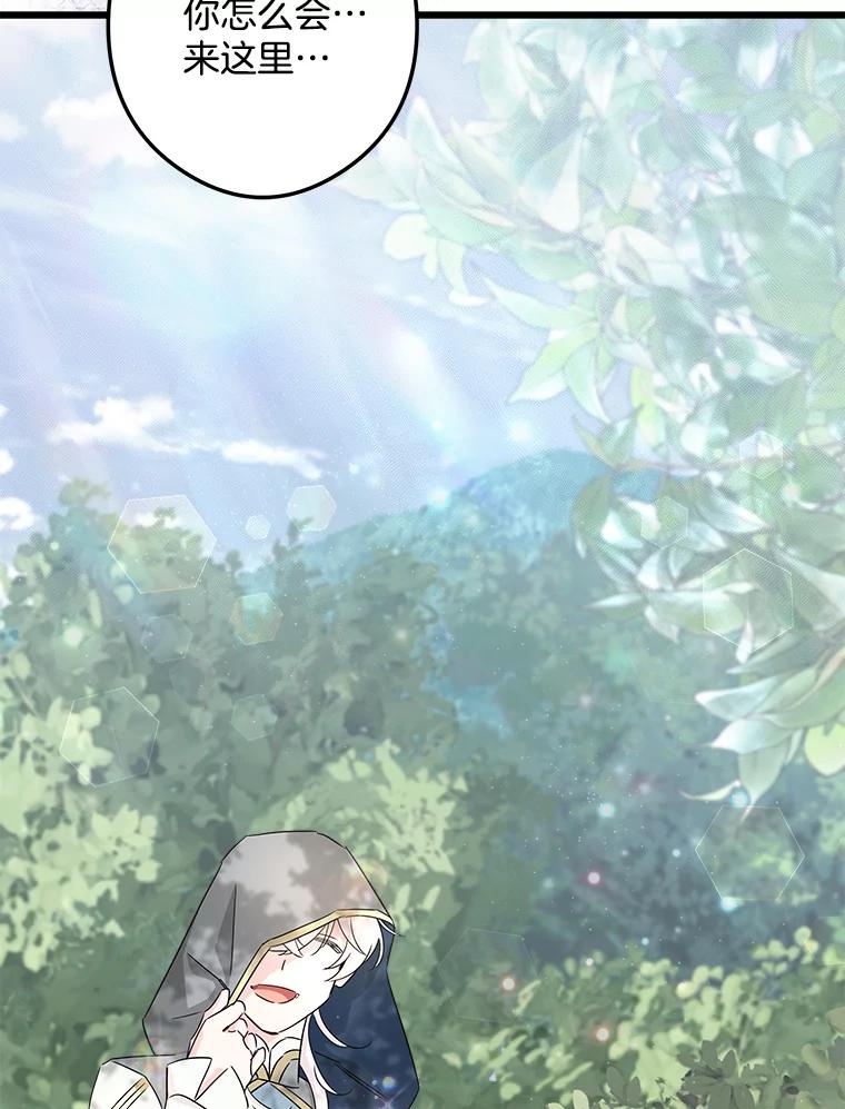 《女仆是悲惨结局收藏家》25.召唤 第95页