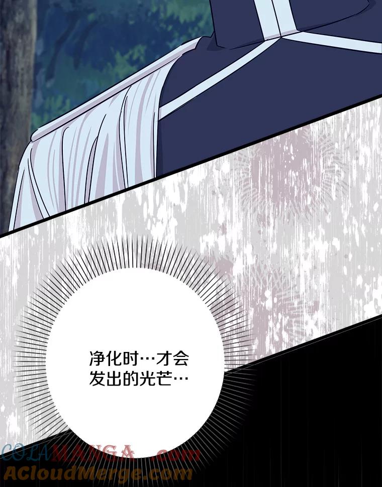 《女仆是悲惨结局收藏家》27.净化 第125页