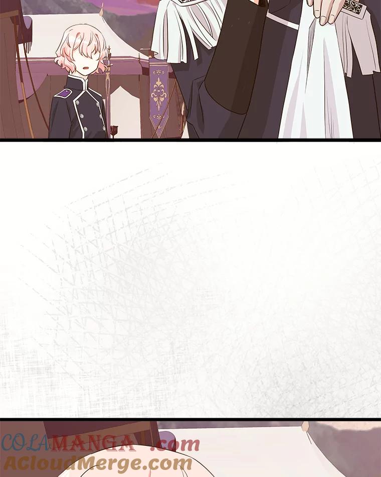 《女仆是悲惨结局收藏家》27.净化 第9页
