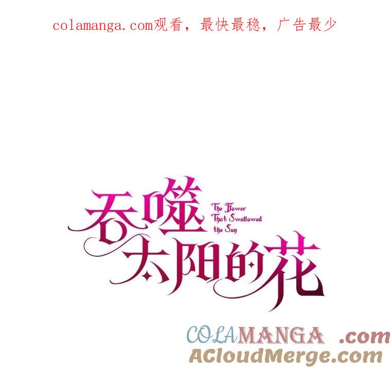 《吞噬太阳的花》27.演技 第1页