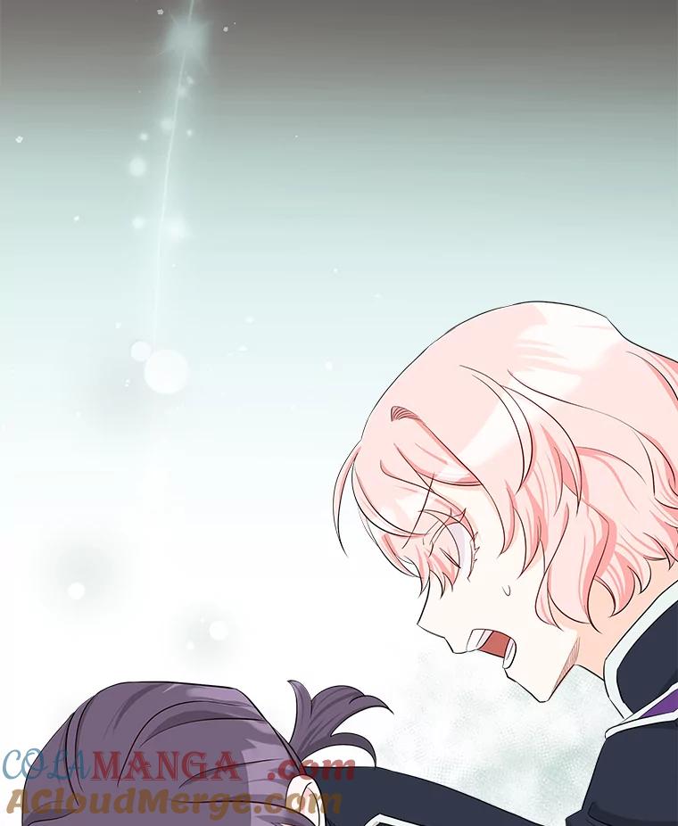 《女仆是悲惨结局收藏家》27.净化 第101页