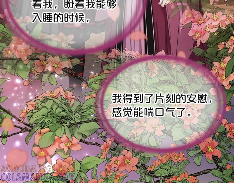 《凤凰血》第99话 赌上性命 第13页