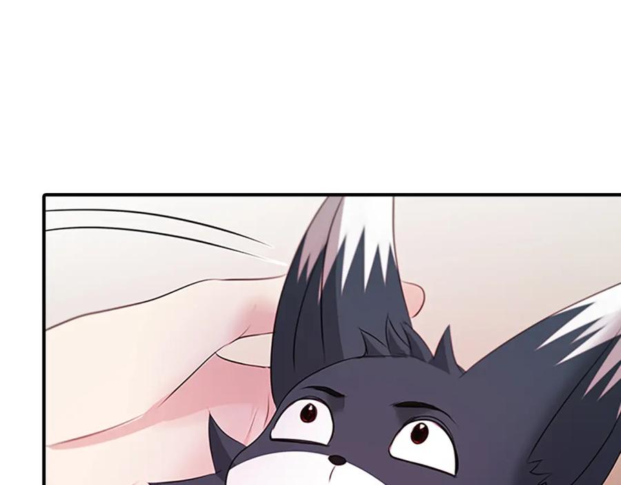 《凤凰血》第101话 缘分 第64页
