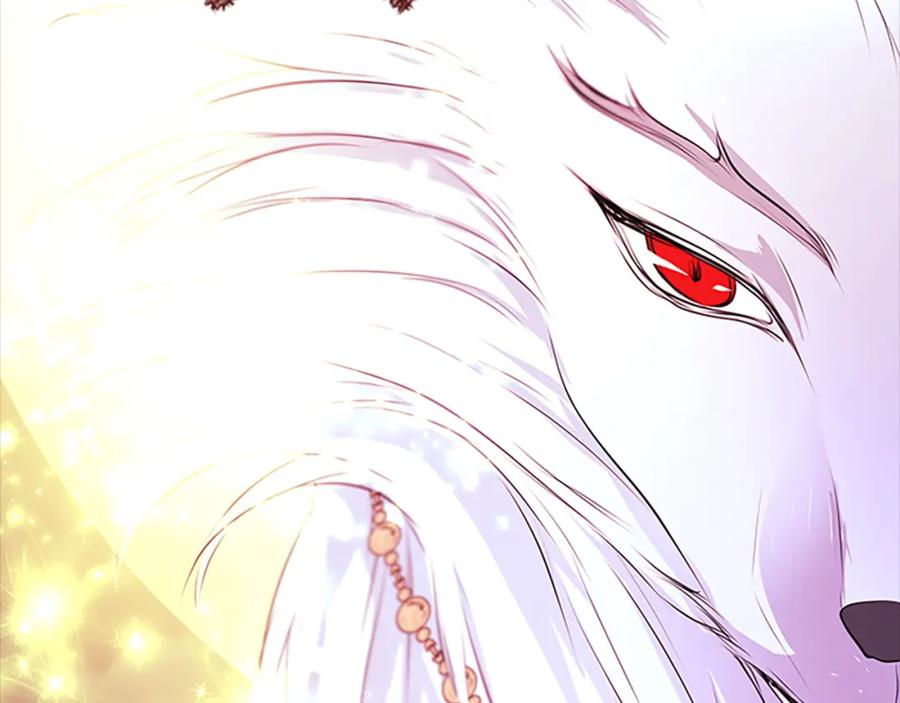 《凤凰血》第102话 警告 第31页
