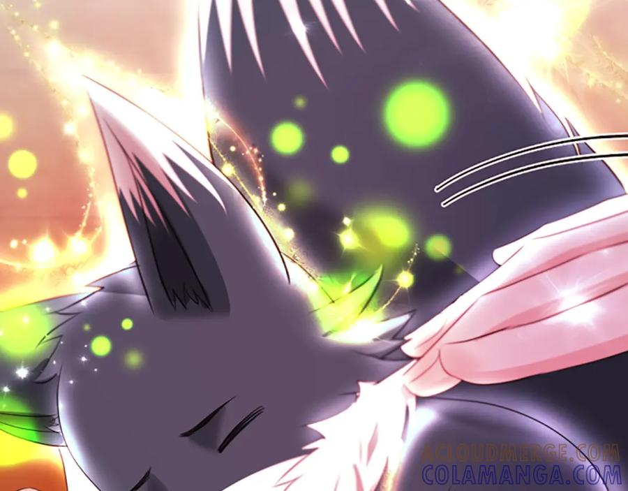 《凤凰血》第103话 诅咒解除 第61页