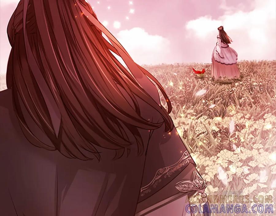 《凤凰血》第108话 胎梦 第13页