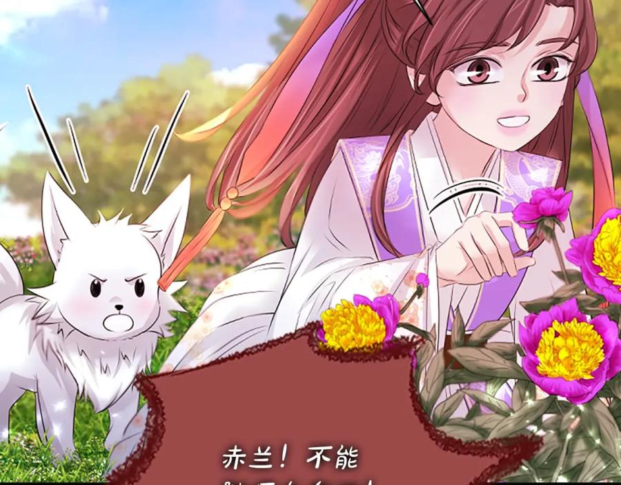 《凤凰血》第109话 回国 第76页