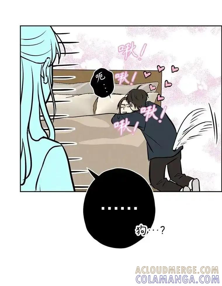 《消失的新郎》119.告别 第65页