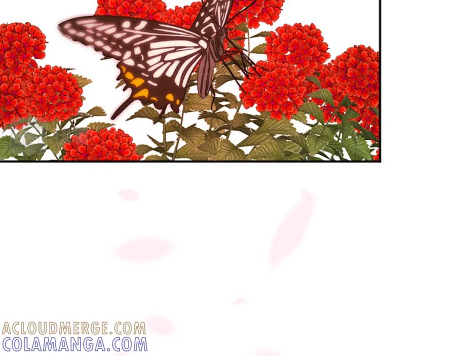 《凤凰血》第33话 可怜人 第85页