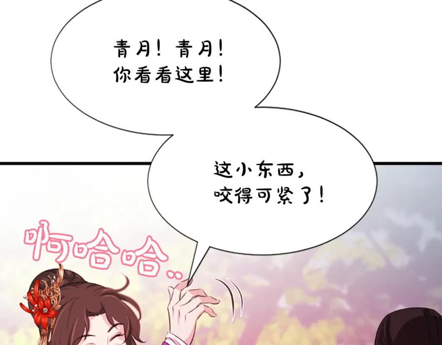 《凤凰血》第42话 臭狐狸 第170页